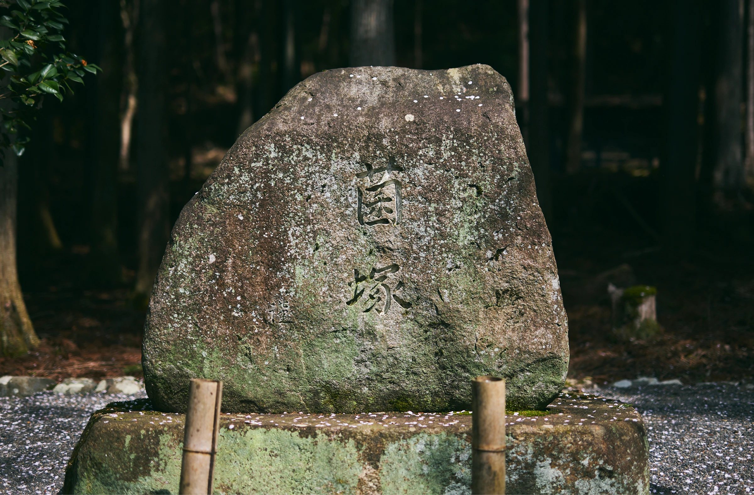 目に見えないものに気づく力を