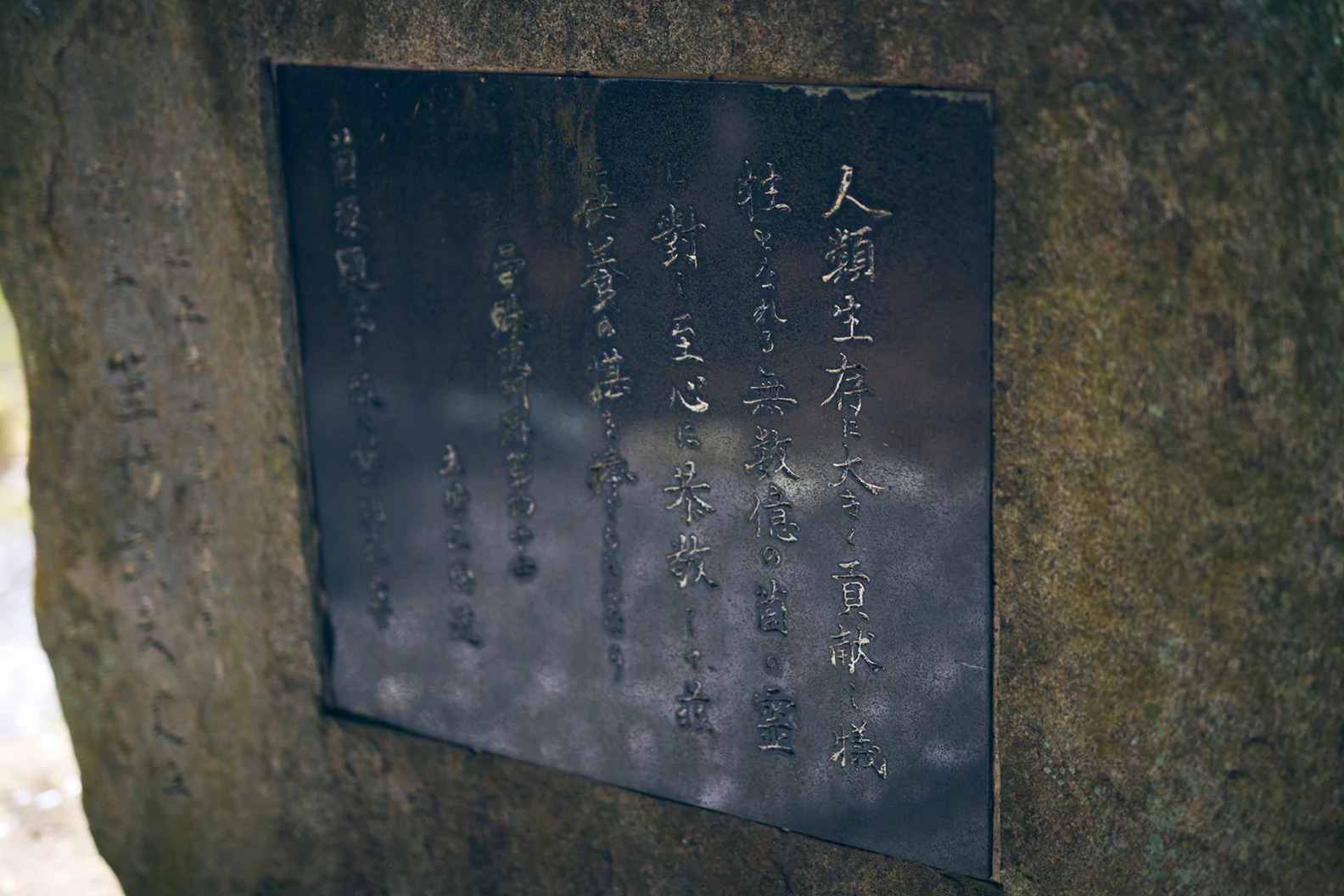 声なき無数の命への感謝