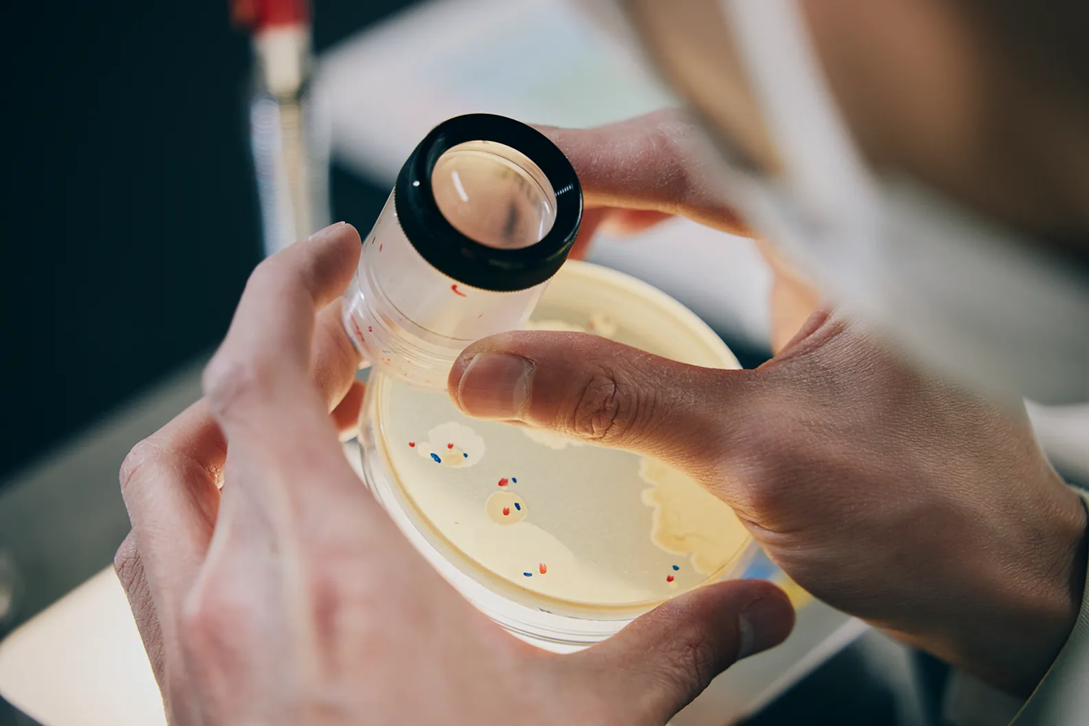 最後に、サステナブルな世界の実現に向けての日本の強みと目指す方向性について教えてください。