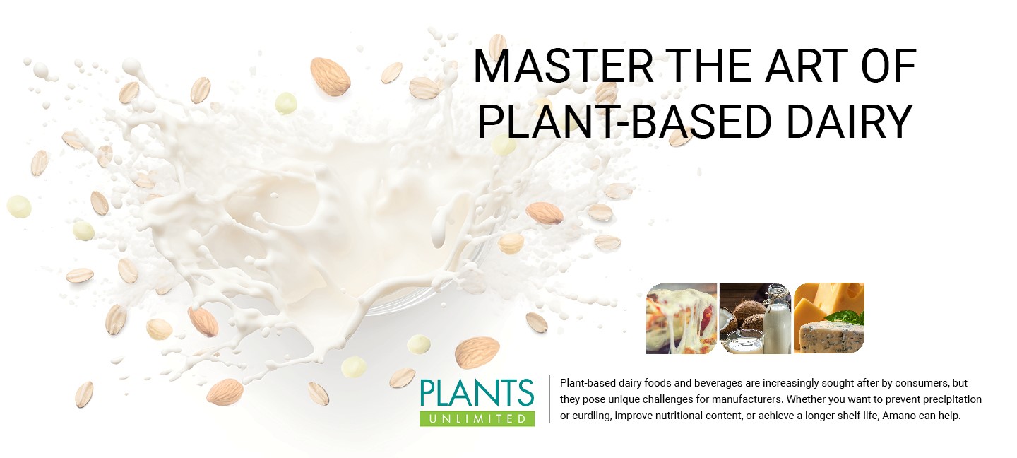 Master the Art of Plant-Based Dairy