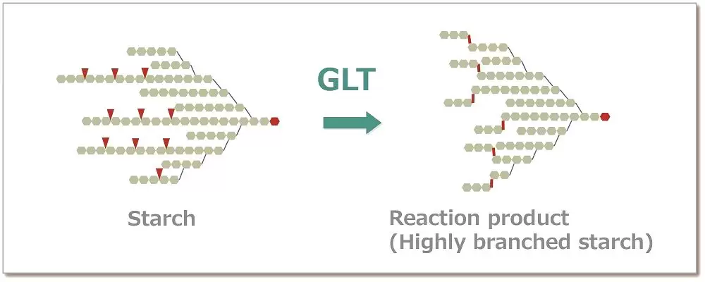 GLT trisaccharide transfer reaction diagram